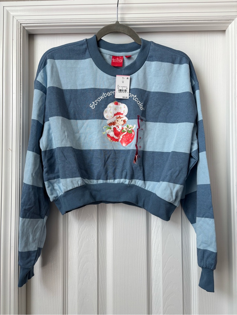 Striped Blue Strawberry Shortcake Cropped Sweater